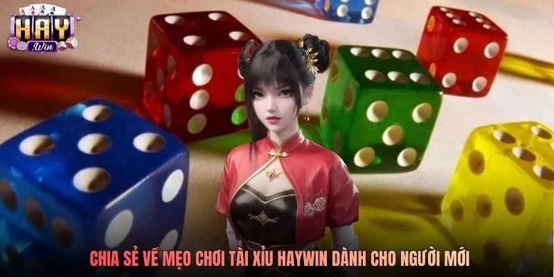 Chia sẻ về mẹo chơi Tài Xỉu Haywin dành cho người mới