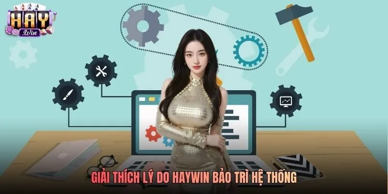 Giải thích lý do Haywin bảo trì hệ thống