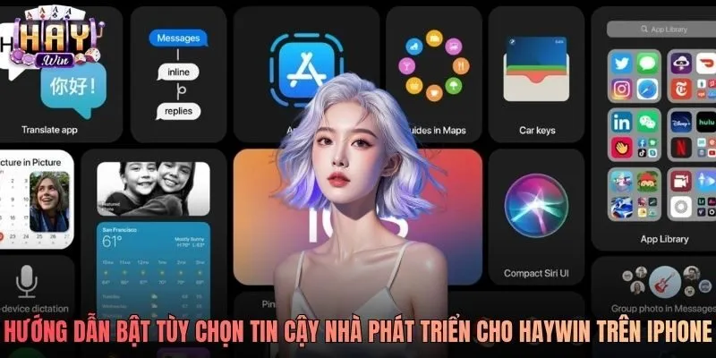 Hướng dẫn bật tùy chọn tin cậy nhà phát triển cho Haywin trên iPhone